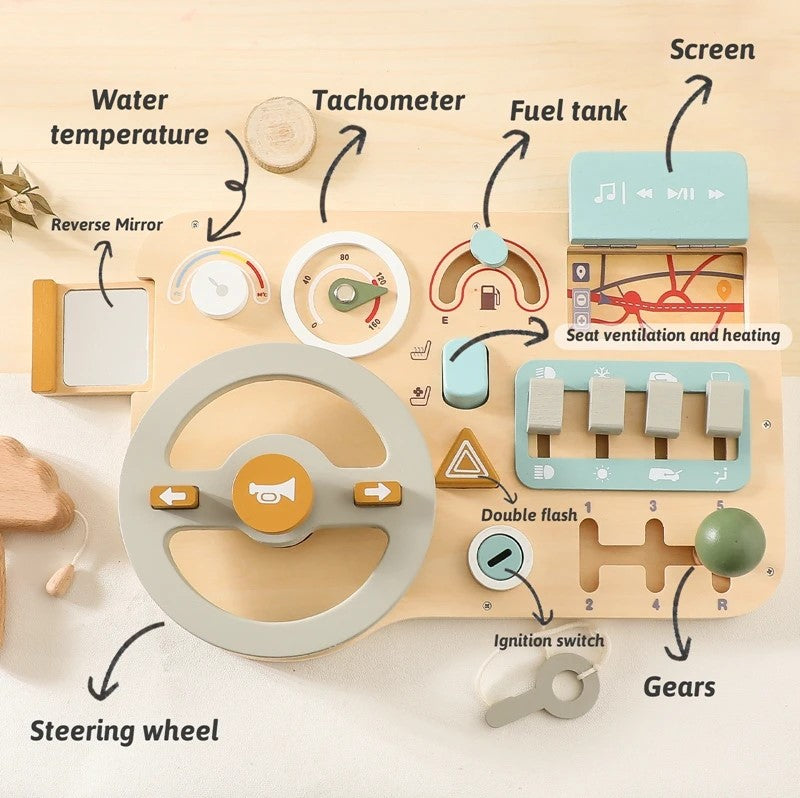 Steering Wheel and Dashboard