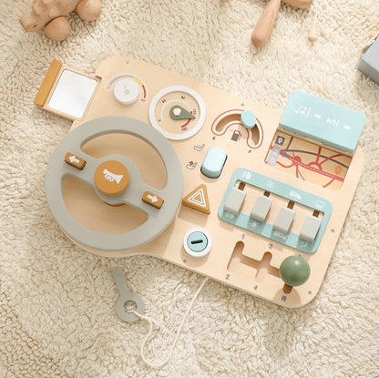 Steering Wheel and Dashboard