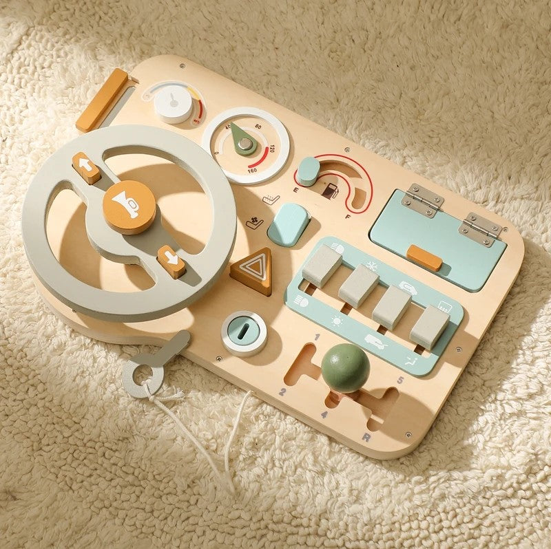Steering Wheel and Dashboard