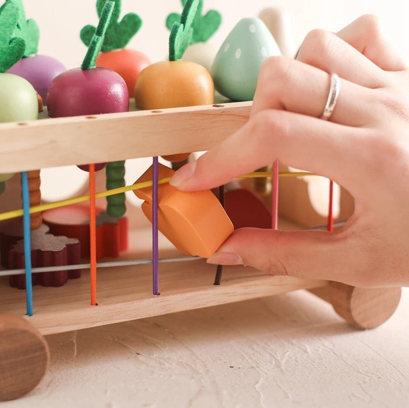 Wooden Carrot Cart