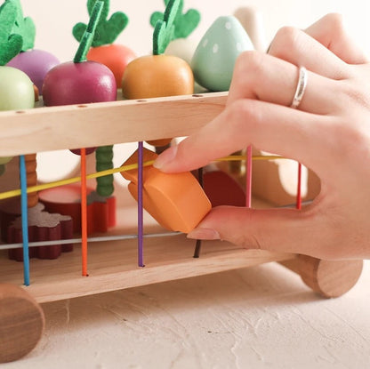 Wooden Carrot Cart