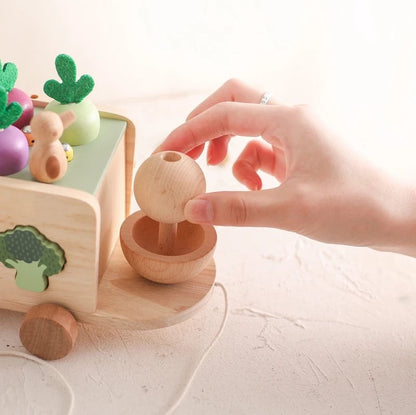 Wooden Carrot Cart