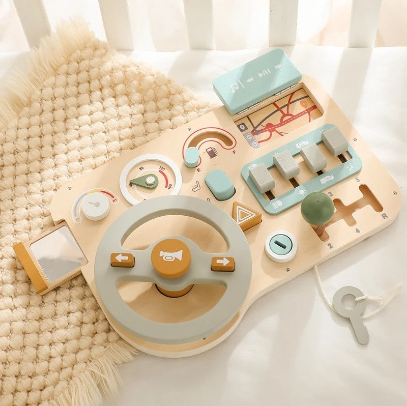 Steering Wheel and Dashboard