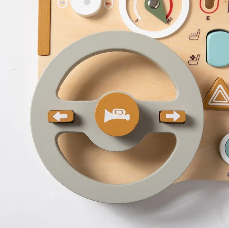 Steering Wheel and Dashboard